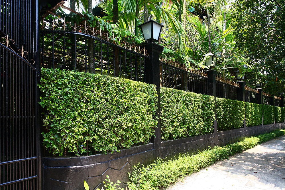 nhà phố 2 mặt tiền hiện đại